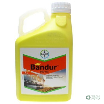 BANDUR 600 SC 5L