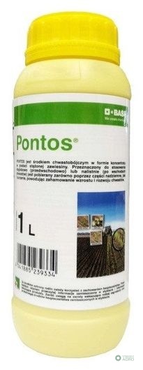 PONTOS 1L