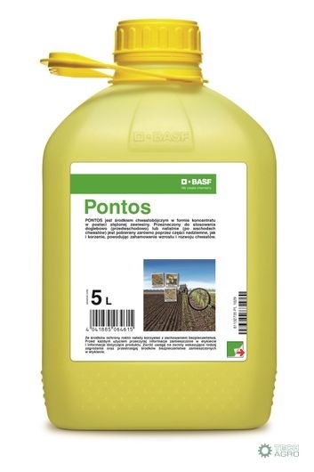 PONTOS 5L