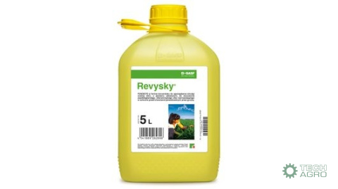 REVYSKY 5L