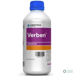 VERBEN 1L