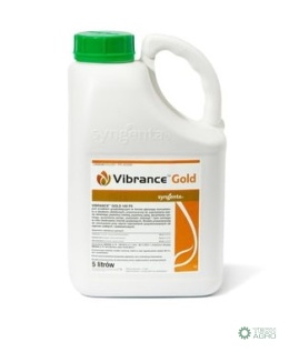 VIBRANCE GOLD 100FS 5L