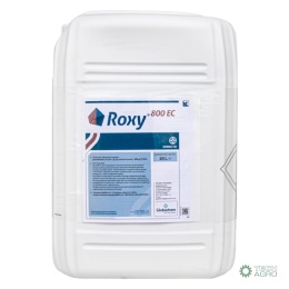 ROXY 800 EC 20L