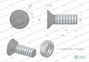 Śruba kpl. płużna dwunoskowa większy łeb M10x30 mm kl.10.9 Waryński ( sprzedawane po 25 )