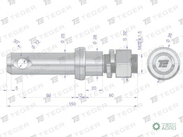 Sworzeń z gwintem T-SG25602240150 fi 25/60 mm M22x1.5/40 mm 150 mm TEGER