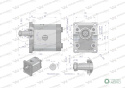 Pompa hydrauliczna zębata 22.0cm3 (grupa 2 - typ europejski) wałek 1:8 przyłącza gwintowane (obroty prawe) max.200 bar Waryński