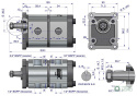 Pompa hydrauliczna zębata podwójna 11+8 cm3 (grupa 2+2 - typ europejski) wałek 1:8 przyłącza gwintowane 1/2"-3/4" (obroty prawe