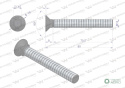 Śruba kpl. płużna podsadzana D 608 M10x80 mm kl.10.9 Waryński ( sprzedawane po 25 )