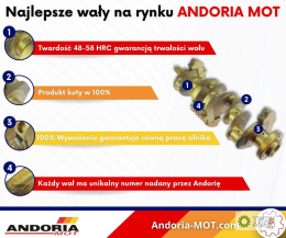 Wał korbowy kuty hartowany SW400 Azotowany ANDORIA - MOT