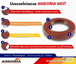 Pierścień uszczelniający simering pokrywy WOM Fluoroelastomer C-360 ANDORIA 48x72x12