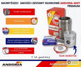 Zestaw naprawczy silnika PREMIUM GORZYCE 55110018 950116 C-360 ANDORIA - MOT