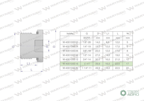 Korek hydrauliczny calowy (na imbus) 1" BSP ED Waryński ( sprzedawane po 2 )