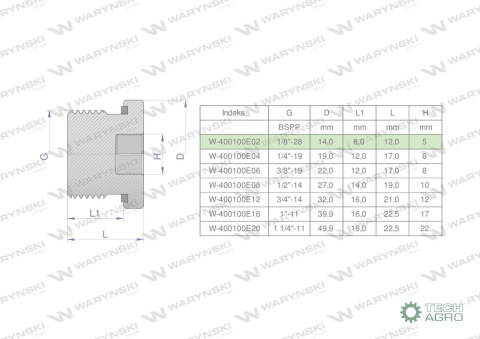 Korek hydrauliczny calowy (na imbus) 1/8" BSP ED Waryński ( sprzedawane po 10 )