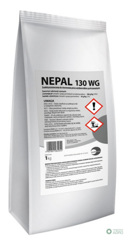 NEPAL 130WG 1KG