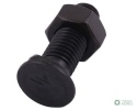 Śruba kpl. płużna dwunoskowa M10x30 mm kl.10.9 zastosowanie Gruber Waryński ( sprzedawane po 25 )