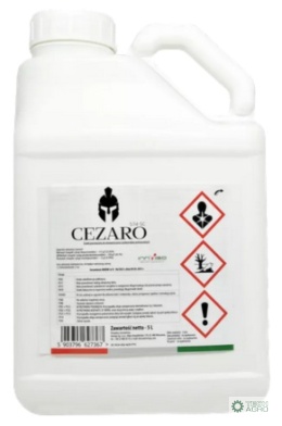 CEZARO 574 SC 5L