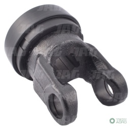 Widłak z pierścieniem 1