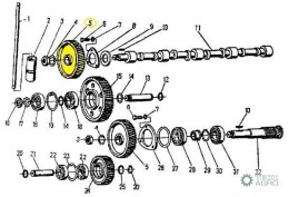 Koło zębate na wałek rozrządu 950424 C-360/Zetor ORYGINAŁ URSUS