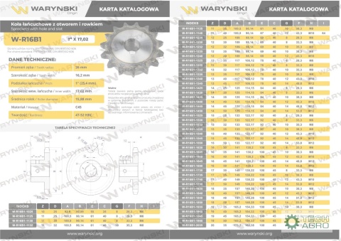Koło łańcuchowe, hartowane 16B1 (R1 1) Z-13 otwór 25mm, Waryński