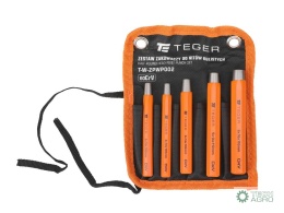 Zestaw zakuwaczy do nitów kulistych (5szt), TEGER