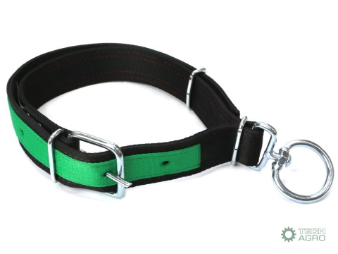 Obroża szeroka, 160 cm x 5 cm z okrętką10 mm, Royal Farm