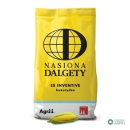 Kukurydza Es inventive C1 80 tys.nasion