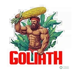 Kukurydza Goliath C1 80 tys.nasion Korit 420 FS