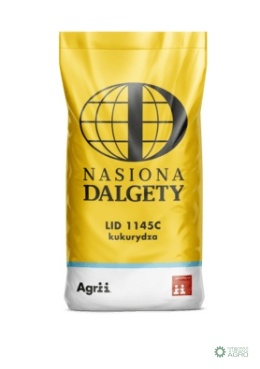 Kukurydza LID 1145C C/1 80 tys. nasion