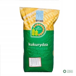 Kukurydza SM Boryna C1 50 tys.nasion Korit 420 FS