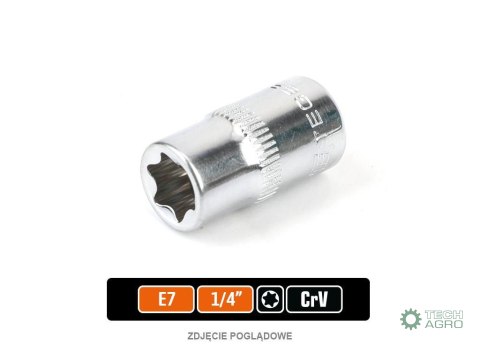 Klucz nasadowy 1/4" TORX E7 / TEGER Klucz nasadowy 1/4" TORX E7 / TEGER