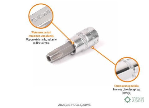 Klucz nasadowy 1/4" z bitem TORX 37 mm/T30 / (z otworem) / TEGER Klucz nasadowy 1/4" z bitem TORX 37 mm/T30 / (z otworem) / TEGER